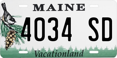 ME license plate 4034SD