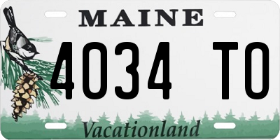 ME license plate 4034TO