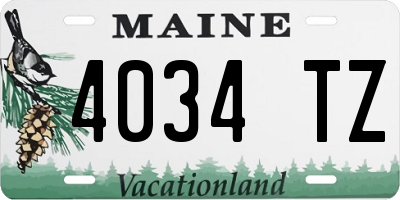 ME license plate 4034TZ