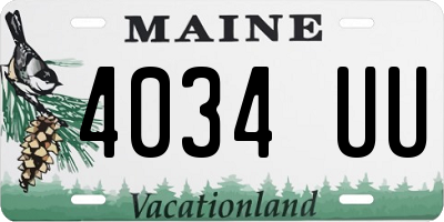 ME license plate 4034UU