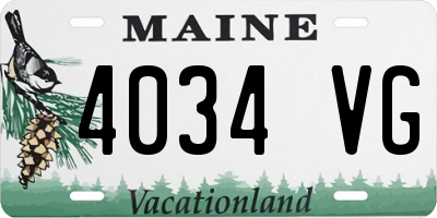 ME license plate 4034VG