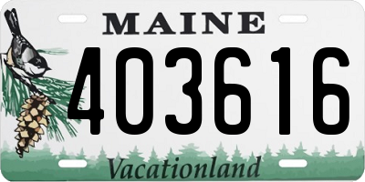 ME license plate 403616