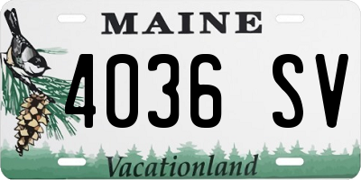 ME license plate 4036SV