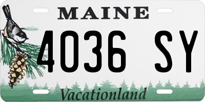 ME license plate 4036SY