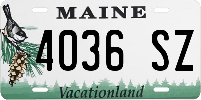 ME license plate 4036SZ