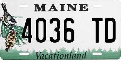 ME license plate 4036TD