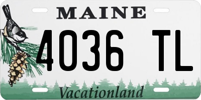 ME license plate 4036TL