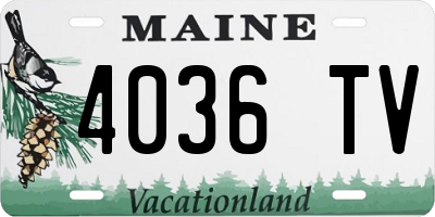 ME license plate 4036TV
