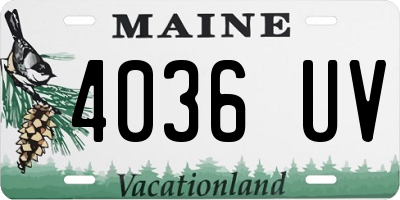 ME license plate 4036UV