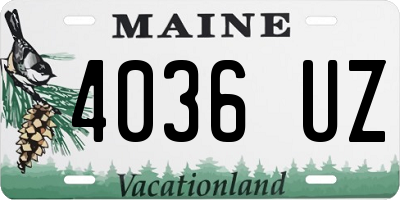 ME license plate 4036UZ