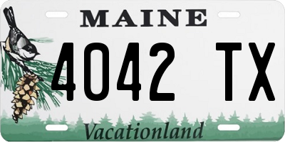 ME license plate 4042TX
