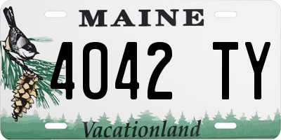 ME license plate 4042TY