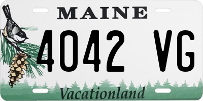 ME license plate 4042VG