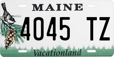 ME license plate 4045TZ