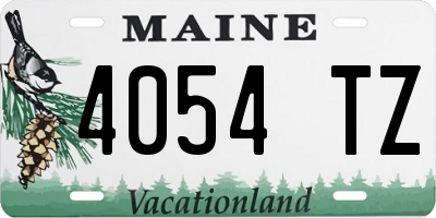 ME license plate 4054TZ