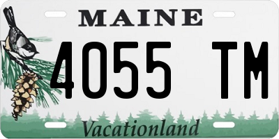 ME license plate 4055TM