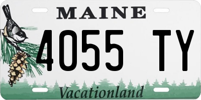 ME license plate 4055TY