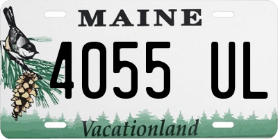 ME license plate 4055UL