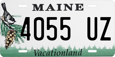 ME license plate 4055UZ