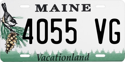 ME license plate 4055VG