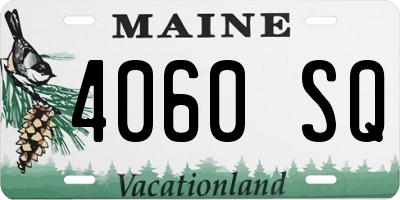 ME license plate 4060SQ