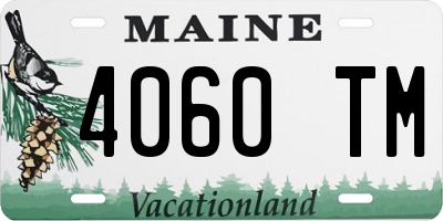 ME license plate 4060TM