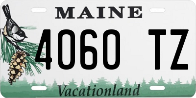 ME license plate 4060TZ