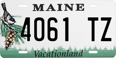 ME license plate 4061TZ