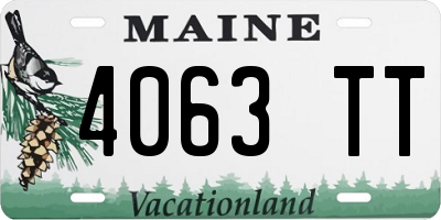 ME license plate 4063TT
