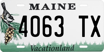 ME license plate 4063TX
