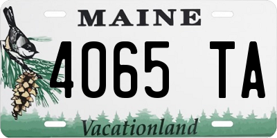 ME license plate 4065TA