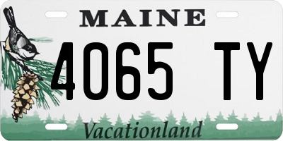 ME license plate 4065TY