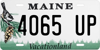 ME license plate 4065UP