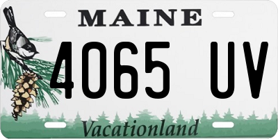 ME license plate 4065UV