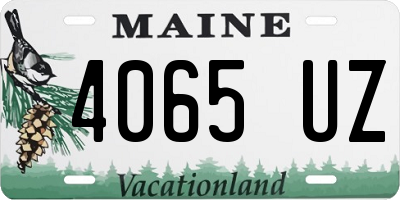 ME license plate 4065UZ