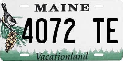 ME license plate 4072TE
