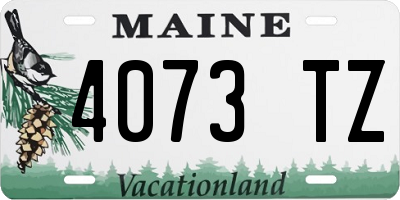 ME license plate 4073TZ