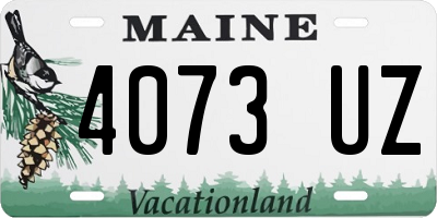 ME license plate 4073UZ