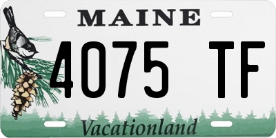 ME license plate 4075TF