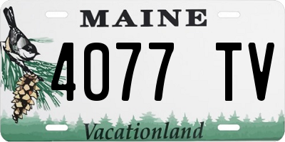 ME license plate 4077TV