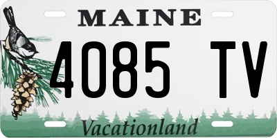 ME license plate 4085TV