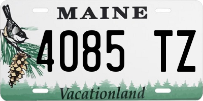 ME license plate 4085TZ