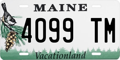 ME license plate 4099TM