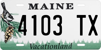 ME license plate 4103TX