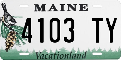 ME license plate 4103TY