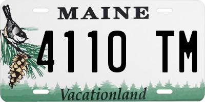 ME license plate 4110TM