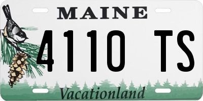 ME license plate 4110TS
