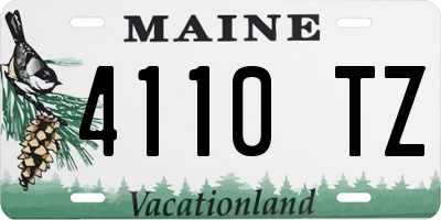 ME license plate 4110TZ