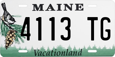 ME license plate 4113TG