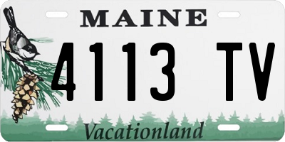 ME license plate 4113TV